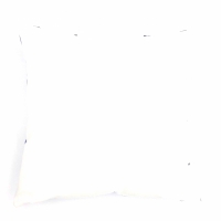 Kussenhoes Paardebloem 45 x 45 cm