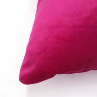 Kussenhoes Fluweel | Hot Pink | 45 x 45 cm